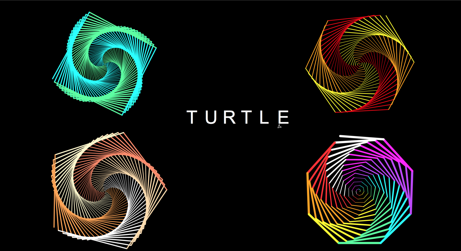 Turtle Spirals